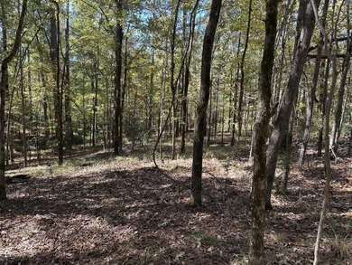 Beautiful sloping residential lot in the Southwind section of