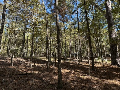 Beautiful sloping residential lot in the Southwind section of