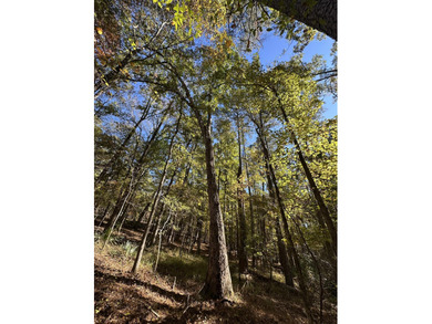 Beautiful sloping residential lot in the Southwind section of