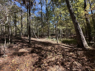 Beautiful sloping residential lot in the Southwind section of