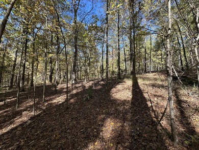 Beautiful sloping residential lot in the Southwind section of