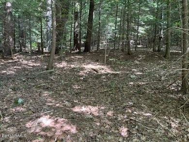 Your chance to own and build near serene and beautiful Goose - photo 9