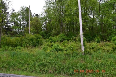 Lake Lot For Sale in Grafton, West Virginia