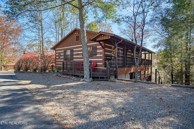 Fully furnished charming cabin in Laurel Valley. Cabin has been - photo 1