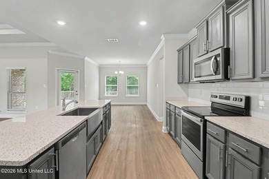 This well-maintained 6-year-old D.R. Horton Parker Plan in the - photo 12