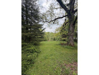 A country retreat property! 3-bedroom brick ranch home with - photo 38