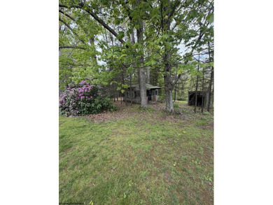 A country retreat property! 3-bedroom brick ranch home with - photo 40