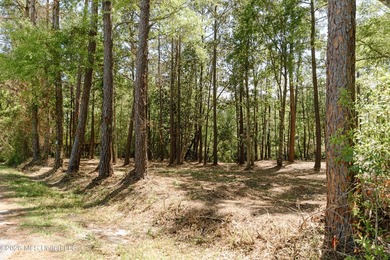 Your search for deep-water access in South Gautier is over! This - photo 1