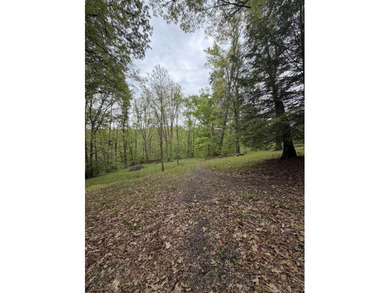 A country retreat property! 3-bedroom brick ranch home with - photo 42