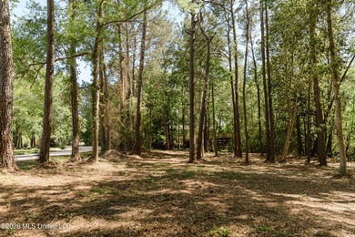 Your search for deep-water access in South Gautier is over! This - photo 3