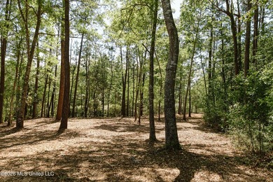 Your search for deep-water access in South Gautier is over! This - photo 4