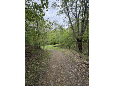 A country retreat property! 3-bedroom brick ranch home with - photo 44