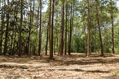 Your search for deep-water access in South Gautier is over! This - photo 5