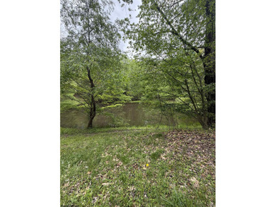 A country retreat property! 3-bedroom brick ranch home with - photo 45
