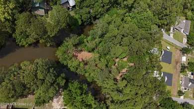 Your search for deep-water access in South Gautier is over! This - photo 9