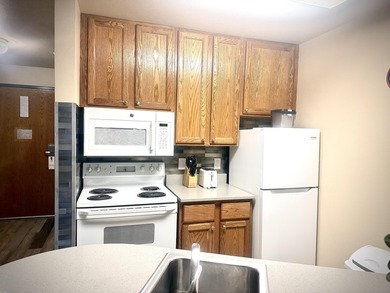 Welcome to Unit 459 at The Cove of Lake Geneva, a beautifully - photo 5
