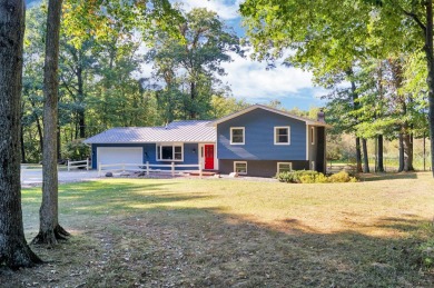 Lake Home For Sale in Athens, Michigan