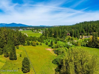 Tucked within the exclusive enclave of The Reserve in Coeur - photo 26