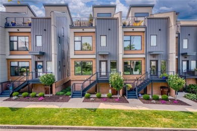 Lake Townhome/Townhouse For Sale in Cleveland, Ohio