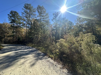 Strom Thurmond / Clarks Hill Lake Acreage For Sale in Lincolnton Georgia