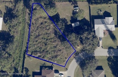Motivated Seller, make an offer! Oversized, cleared, pie-shaped - photo 2
