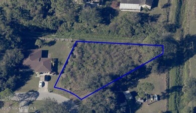 Motivated Seller, make an offer! Oversized, cleared, pie-shaped - photo 3