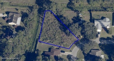 Motivated Seller, make an offer! Oversized, cleared, pie-shaped - photo 4