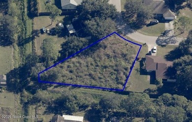 Motivated Seller, make an offer! Oversized, cleared, pie-shaped - photo 5