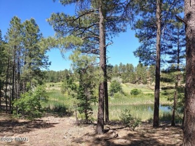 (private lake, pond, creek) Lot For Sale in Show Low Arizona
