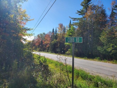 Pleasant Lake - Penobscot County Acreage For Sale in Stetson Maine
