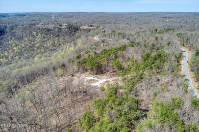 Gorgeous Bluff and Mountain views! Caves, wildlife, seasonal - photo 11