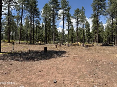 LIMITED TIME INCENTIVE - $25,000 OFF BASE PRICE on TO-BE-BUILT - photo 3