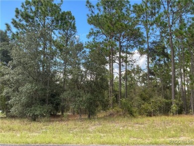 Rush Lake Lot For Sale in Dunnellon Florida