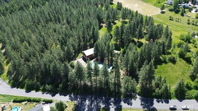 Private 1.4 +/- acre wooded parcel is located on the outskirts - photo 13