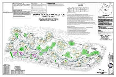 (private lake, pond, coastal) Acreage For Sale in Bethlehem Georgia