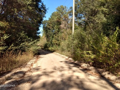 Beautiful lot that fronts on the 15th Fairway. This is a very - photo 2