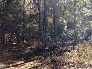 Beautiful lot that fronts on the 15th Fairway. This is a very - photo 3