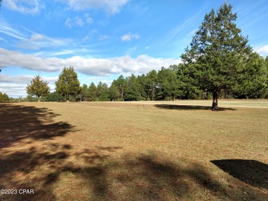 Beautiful lot that fronts on the 15th Fairway. This is a very - photo 4