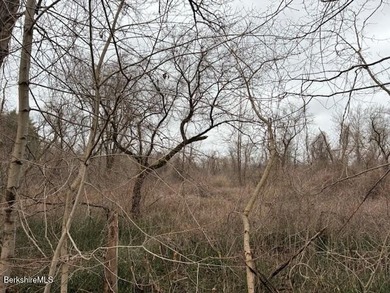 A beautiful land offering with a combination of natural features - photo 3