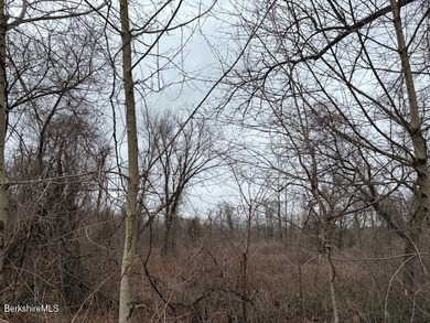 A beautiful land offering with a combination of natural features - photo 4