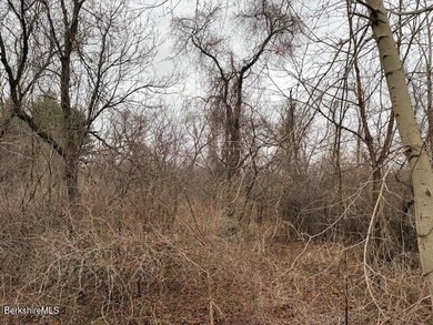 A beautiful land offering with a combination of natural features - photo 5