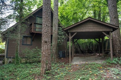 Experience the best of lakefront living on beautiful Lake - photo 23