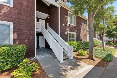 OPEN HOUSE EVERY DAY, CALL US FOR SCHEDULES! Experience - photo 28