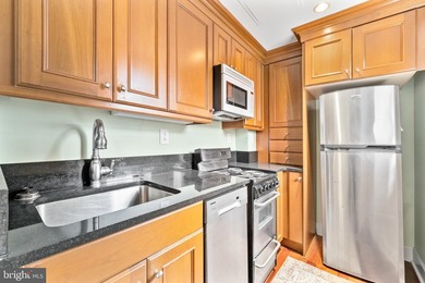 West-facing, 1-bedroom condo on the nineteenth floor of the - photo 8
