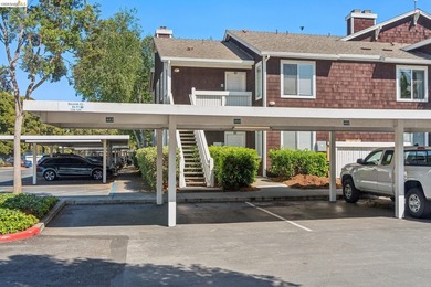 OPEN HOUSE EVERY DAY, CALL US FOR SCHEDULES! Experience - photo 29