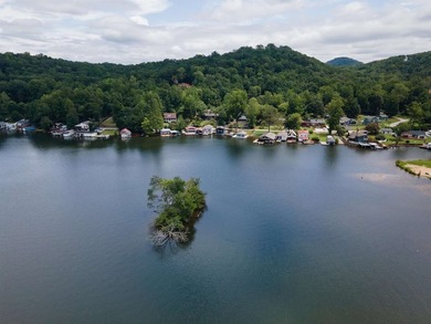 Experience the best of lakefront living on beautiful Lake - photo 30