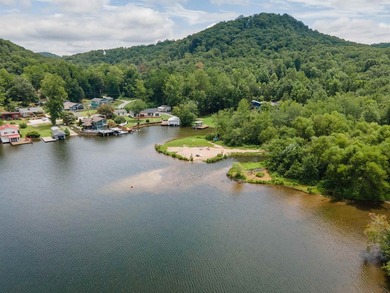 Experience the best of lakefront living on beautiful Lake - photo 31