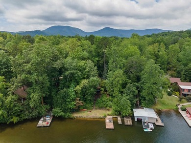Experience the best of lakefront living on beautiful Lake - photo 32