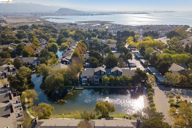OPEN HOUSE EVERY DAY, CALL US FOR SCHEDULES! Experience - photo 34