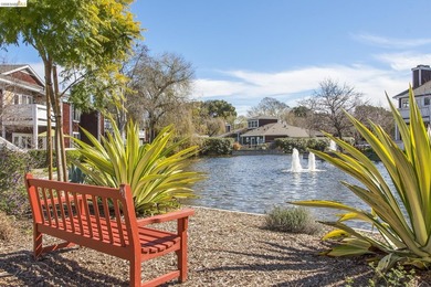 OPEN HOUSE EVERY DAY, CALL US FOR SCHEDULES! Experience - photo 37